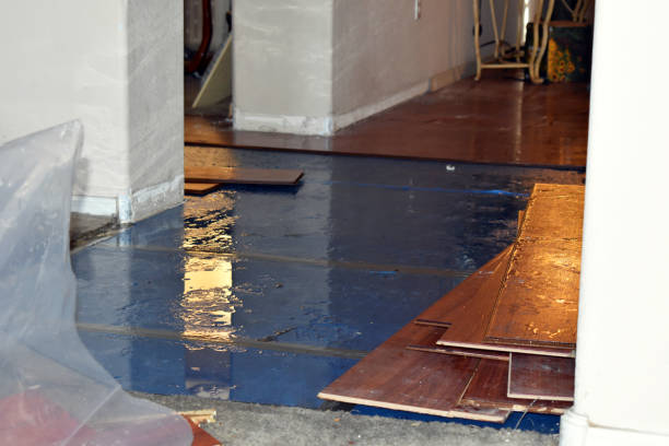 Professional Burst Pipe Cleanup technician working in Hampton, MN